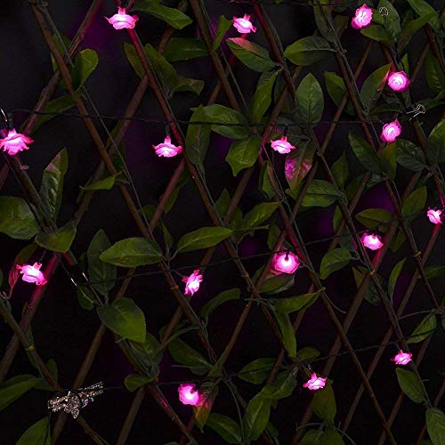 Solar Lichterketten, KEEDA30 LED Rose Blume Lichterkette Wasserdichte dekorative Beleuchtung für Außen Patio Garten Hochzeit Weihnachten Party (Rosa) von KEEDA