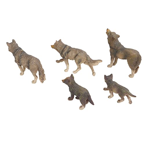 5 Stück Wolf Figur Spielzeug Lebensecht Lebendige Details Kunststoff Wildtier Wolf Figuren Spielzeug Simulation Tier Modell von KENANLAN