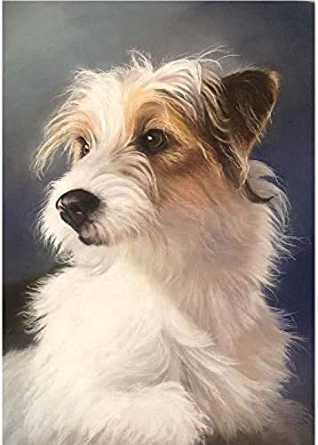 Diamantmalerei 5D-Diamantmalerei-Kits für Kinder, Jack Russell Terrier Hund DIY Malen nach Zahlen Erwachsene Diamantmalerei Geburtstagsgeschenke 30x40CM von KESIMO