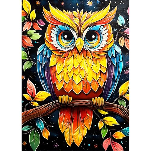 KEYIFA 5D Diamond Painting Set für Erwachsene Bunte Eule, DIY Diamant Painting Bilder Art Kristall Set, Diamond Painting Zubehör Full Drill Bilder, Home Wand Dekor 30x40cm von KEYIFA