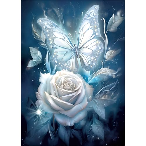 KEYIFA 5D Diamond Painting Zubehör Blumen Schmetterling, Crystal Art Foto Bastelset Diamond Painting Erwachsene, DIY Vollbohrer Rose Bilder Diamond Painting Set, Home Wand Dekor 30x40CM von KEYIFA