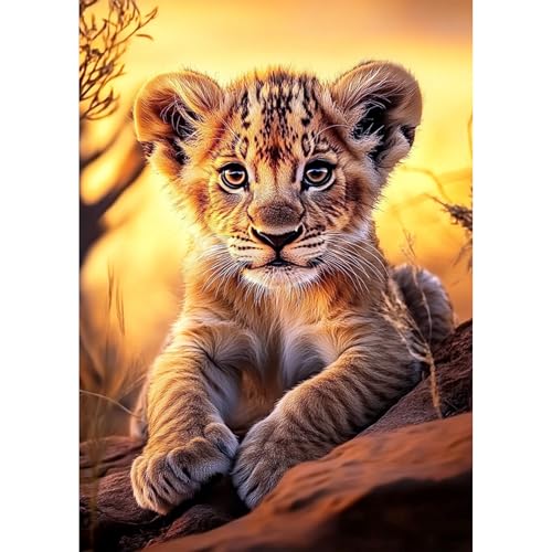 KEYIFA 5D Tiger Diamond Painting Set für Erwachsene, DIY Diamant Painting Bilder Art Kristall Set, Diamond Painting Zubehör Full Drill Bilder, Home Wand Dekor 30x40cm von KEYIFA