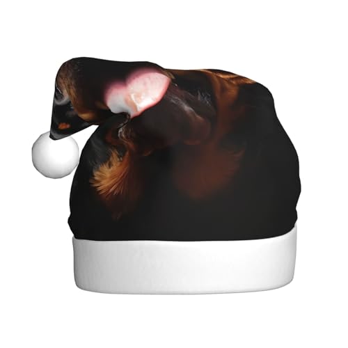 KHiry Plüsch-Weihnachtsmütze für Erwachsene, coole Rottweiler-Hundekunst, leuchtende Weihnachtsmütze, Plüsch-Weihnachtsmannmütze von KHiry