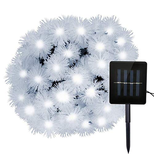 Chuzzle Schnur Lichter Außen,KINGCOO Wasserdichte 20FT 30LED Löwenzahn Ball Solarbetriebene Globe Fee Lichterketten für Garten Camping Terrasse Hochzeit Weihnachtsdekoration (Weiß) von KINGCOO