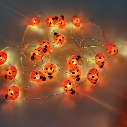 KINGCOO 9.8ft 30Led Marienkäfer Lichter,DIY Silberdraht Ladybird Fee Dekorative Lichterketten Batteriebetriebene für Sommer Kinder Schlafzimmer Weihnachten Hochzeit Party Innen Außen Dekoration (Rot) von KINGCOO