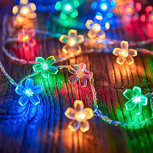 KINGCOO Blumen Schnur Lichter, 6M 40Led Pfirsichblüte Kirschblüte Fee Dekorative Lichterkette Batteriebetrieben für Sommer Garten Hochzeit Party Weihnachten Beleuchtung Dekoration(Mehrfarbig) von KINGCOO