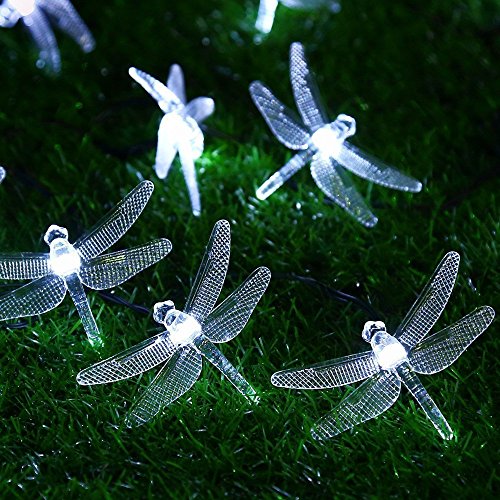 KINGCOO Libelle Schnur Lichter Solarleuchten Außen, Wasserdicht 20ft 30LED 8 Modus Solar Lichterketten für Haus Terrasse Garten Party Hochzeit Weihnachtsbeleuchtung Dekorationen (Weiß) von KINGCOO