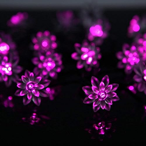 Solar Blume Außenlichterkette,KINGCOO Wasserdicht 23FT 50LED Lotus Blume Solar Lichterketten mit 8 Modus Weihnachtsbeleuchtung für Garten Hochzeit Party Dekoration (Rosa) von KINGCOO