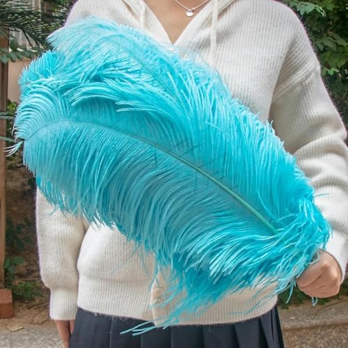 10 Stück große weiße Strauße 15–55 cm für Partydekoration, Strauße, Basteln, DIY-Zubehör-Himmelblau-30–35 cm 12–14 Zoll von KJOLYI