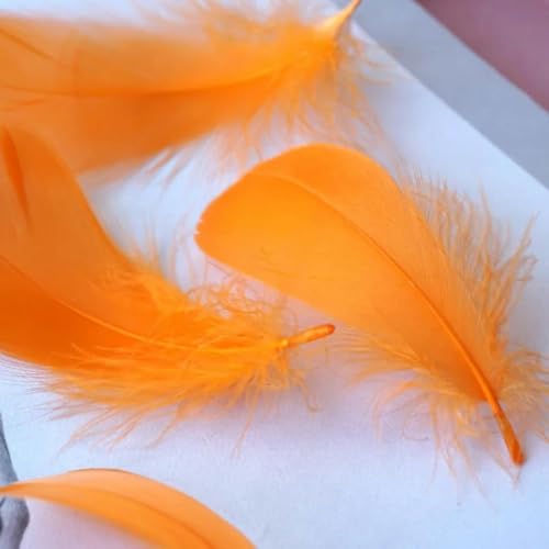 S-Federfedern, 4–8 cm, 8–12 cm, Schwanenfedern für Heimdekoration, Basteln, DIY-Schmuckzubehör, 100 Stück, Orange, 4–8 cm, 100 Stück von KJOLYI