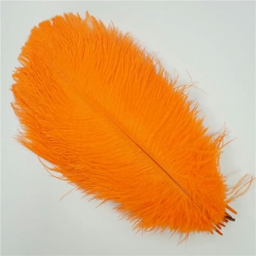 10 Stück bunte Straußenfedern, Bastelzubehör, Traumfänger, Dekoration, Schmuckherstellung, Federn, Tischdekoration, Orange, 35–40 cm, 14–16 Zoll von KKOGF