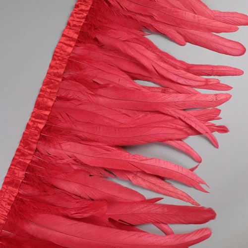 25 30 cm Hahnbesatz, Hühnerfedern, Besatz, Hahnenschwanzband, Kleid, Rock, Kostümdekoration, rot, 2 Yards von KKOGF