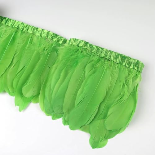 Besatzband, 2 Yards/Stück, zum Nähen, Basteln, Federn in Kleidern, Röcken, Wanddekorationen für Partykleidung, 43 Limettengrün, 2 Yards von KKOGF