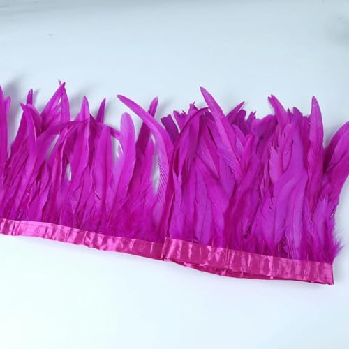 Hahnenbesatz, 2 m, Hahnenschwanz, DIY-Bastelarbeiten für Kleidung, Bandzubehör, Pink, 25–30 cm von KKOGF