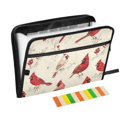 KLL Akkordeon-Aktenordner, Akkordeon-Aktenordner, Dokumentenmappe, Rechtsgröße, erweiterbar mit Taschen für Zahnärzte, Kunst, Nordvögel, Beige KLL Akkordeon-Aktenordner, Akkordeon-Aktenordner, Dokumentenmappe, Rechtsgröße, erweiterbar mit Taschen für Zahnärzte, Kunst, Nordvögel, Beige von KLL