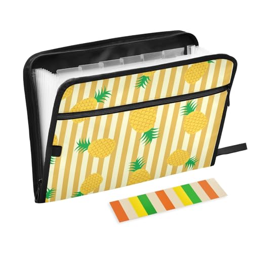 KLL Akkordeon Dokumentenorganizer, 13 Taschen, erweiterte Dokumententasche, Format A4, Geldbörse für Klasse, Haus, Büro, Reisen, Goldene Ananas tropische Hawaiian von KLL