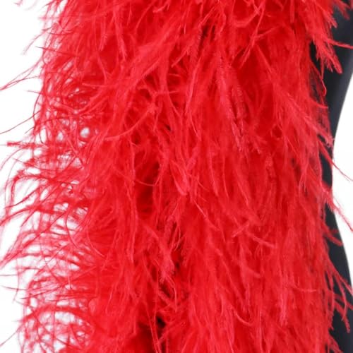 Boa-Schal aus Straußenfedern, 6 8 10 15 20-fädig, dicker Straußenschal, Basteln für Party, Kleid, Kleidung, Schal, Dekor, rot, 15-fädig, 3 Meter von KOMINF