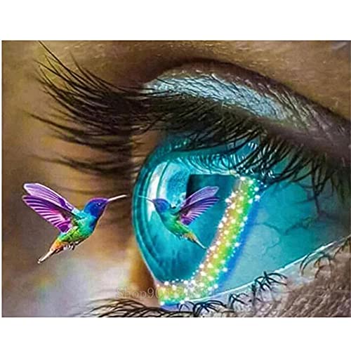 5D Diamant Painting Bilder Auge-Kolibri Diamond Painting für Erwachsene DIY Diamant Malerei für Kinder Vollbohrer Strass Stickerei Kreuzstich Mosaik Gemälde für Home Wall Décor 40X50CM von KPENG