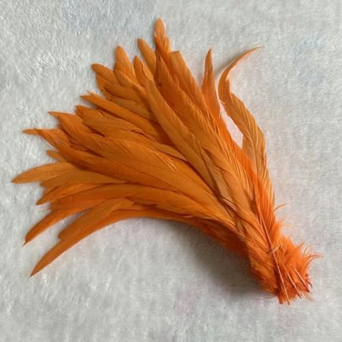 Hahnenschwanzfedern, 1200 Stück, DIY-Kleidungszubehör, Schmuck, Kopfbedeckungen, Hüte, Zubehör, Leistung notwendig, Orange, 25–30 cm von KRVDGR