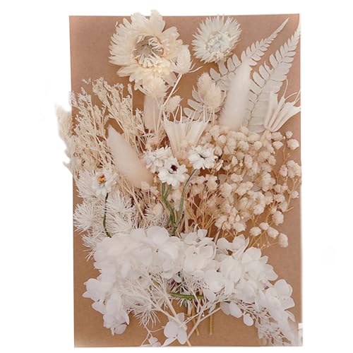 KSJEHW Getrocknete Blumen,Natürliche Trockenblumen zum Basteln Trockenblumen Deko ​für DIY Epoxidharz Kunsthandwerk,Kerzen Deko,Karten Deko,Scrapbooking,Hochzeitsdekoration(Weiß) von KSJEHW