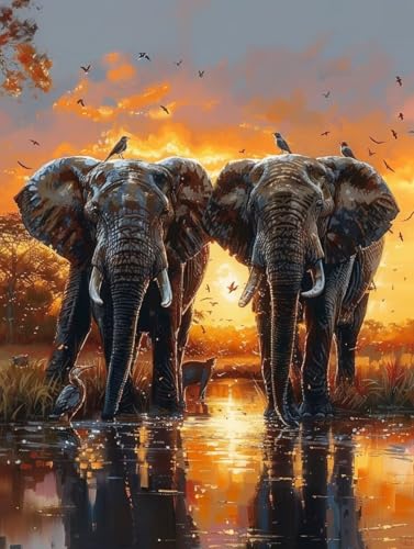 Malen Nach Zahlen Erwachsene Sonnenuntergang Malen Nach Zahlen Elefant, Malen Nach Zahlen Kinder Bastelset Erwachsene, DIY Handgemalt Ölgemälde Kit Mit 3 Pinseln und Acrylfarbe, 100 x 200 CM M-3561 von KUEAJIOU