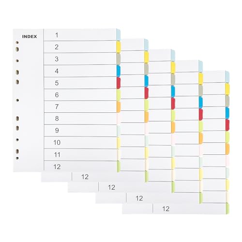 Ordner Register, 5 Stück A4 Ordner Trennblätter Register für A4 Trennblätter für Ordner A4 Farbiges Mylar für Aktenordner poröse Mehrzweck-Indexteiler 12 Löcher von KUIZHEN