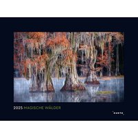 KUNTH Monats-Wandkalender Magische Wälder 2025 von KUNTH
