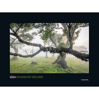 KUNTH Monats-Wandkalender Magische wälder 2024 von KUNTH