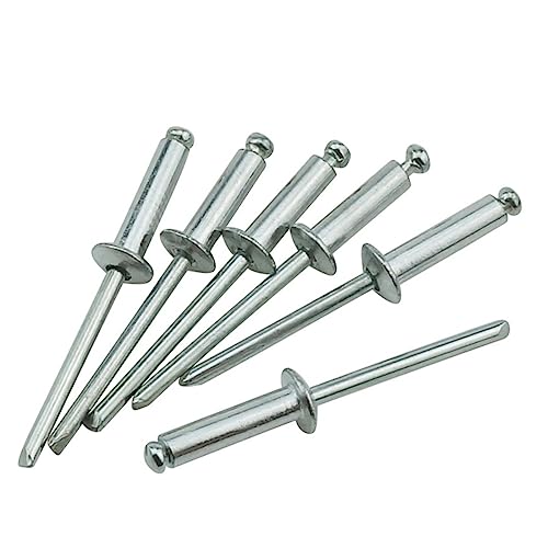 KXAOXGRC Blindnieten 100 STÜCKE M3.2 Aluminium Pilzschraube Ziehen Nieten Brechdorn(12mm) von KXAOXGRC