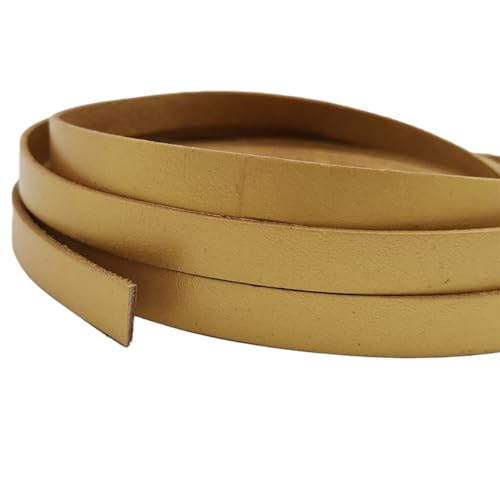 KXAOXGRC Synthetische Lederstreifen, Braunes Lederband, Lederstreifen, 10 mm breit, 10 x 2 mm, flach.(Gold,5 Yards) von KXAOXGRC