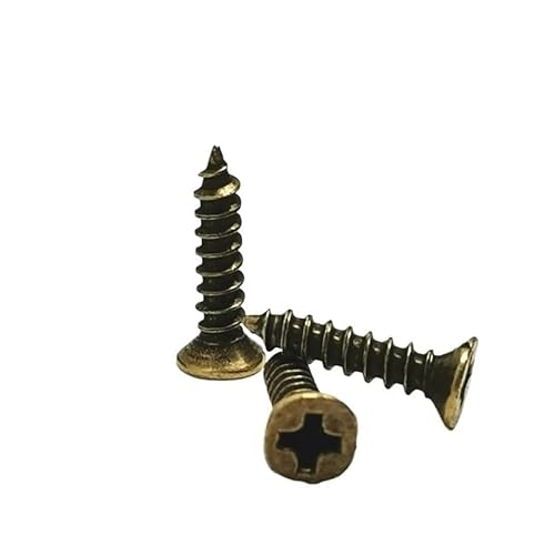 100 Stück M2 M3 M2.5 Schrauben Bronze/Silber/Goldene Farbe Kopfpassende Scharniere Selbstschneidende Schrauben Möbelbeschläge(10MM_M2.5) von KXJSYL Tool