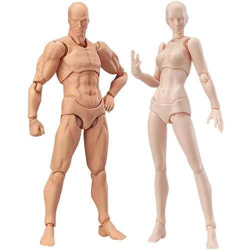 KYEQATY Schaufensterpuppenkörper beweglicher Puppenkörper PVC männliche und weibliche Schaufensterpuppe Actionfigurenmodelle 2 teilig von KYEQATY