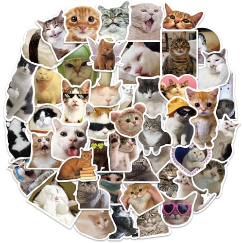 Katzen Sticker 50 Stück, Cute Cat Meme Aufkleber Süße Wasserfeste Vinyl Stickers für Katzen Liebhaber (Lustige Katze) von Kaderas