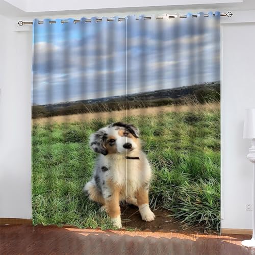 KaiHeBeding Tier Gardinen Border-Collie Vorhänge Blickdicht, Blackout Curtain, Lärmschutzvorhang, Geeignet für Haus Balkon Kinderzimmer, Schlafzimmer Wohnzimmer Fenster, H 175 x B 140 cm, 2 Stück von KaiHeBeding