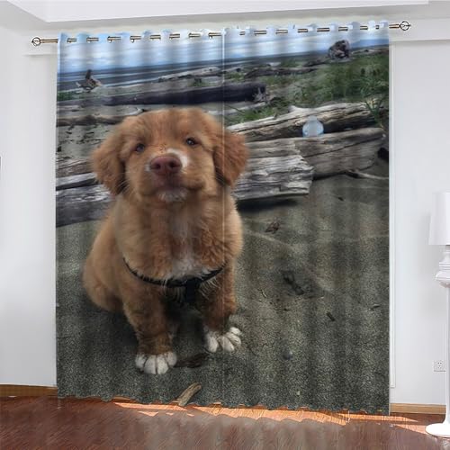 KaiHeBeding Tier Gardinen Golden Retriever Vorhänge Blickdicht, Blackout Curtain, Lärmschutzvorhang, Geeignet für Haus Balkon Kinderzimmer, Schlafzimmer Wohnzimmer Fenster, H 175 x B 140 cm, 2 Stück von KaiHeBeding