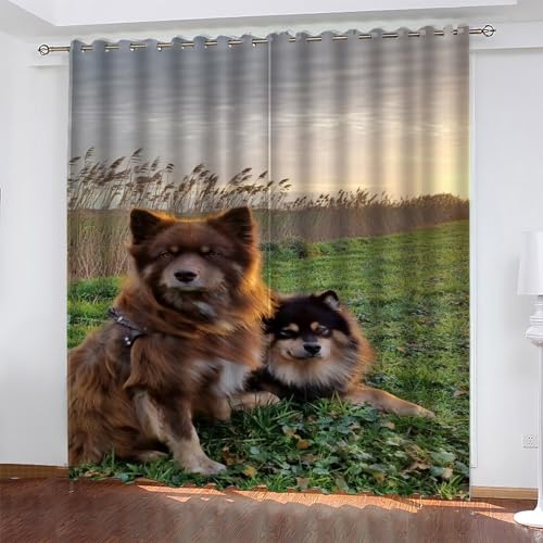 KaiHeBeding Tier Gardinen Hund Vorhänge Blickdicht, Blackout Curtain, Lärmschutzvorhang, Geeignet für Haus Balkon Kinderzimmer, Schlafzimmer Wohnzimmer Fenster, H 175 x B 140 cm, 2 Stück von KaiHeBeding