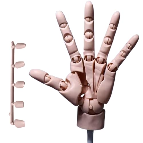 Handmodell, 1: 1 Artikulierte Mannequin Handbewegungsgelenk, Manikin Hand mit Basis zum Zeichnen, Malerei, Skizzieren (Teint) von Kalastussaari