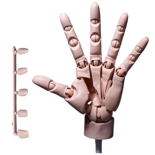 Handmodell, Mannequin -Figur der linken Hand, bewegliche Gelenkmanikinhand mit Basis, Teint DIY PVC Handmodell für Schmuckanzeige und Dekoration von Kalastussaari