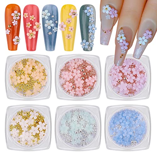 Kalolary Flower Nail Art Charms, Acryl Blume Nagel Charms 3D Nagel Flat Back Design Gold Silber Perle 3D Kaviar Perlen Nail Art Strasssteine Nägel Zubehör DIY Nagelkunst Nageldesign(6 Boxen) von Kalolary