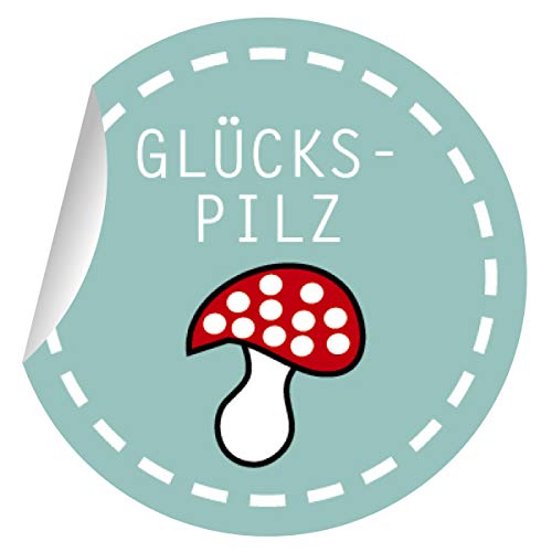 5x54 niedliche Glücks Aufkleber mit Fliegenpilz, MATTE Papieraufkleber für Geschenke, Sticker selbstklebende Etiketten für Paket Brief Deko (ø 30mm; 1 Motiv): Glückspilz von Kartenkaufrausch