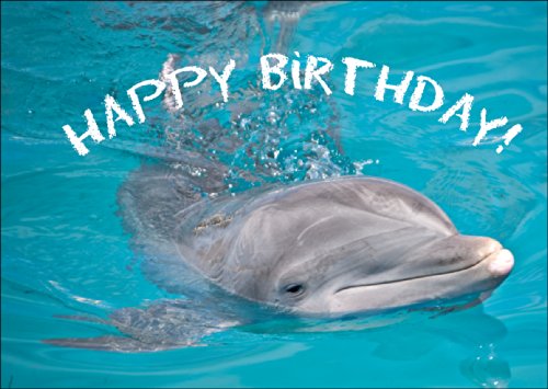 Happy Birthday - die Tier Foto Klappkarte mit Delfin • auch zum direkt Versenden mit ihrem Text als Einleger. • hübsche hochwertige Grusskarte mit Umschlag zu vielen Anlässen von Kartenkaufrausch