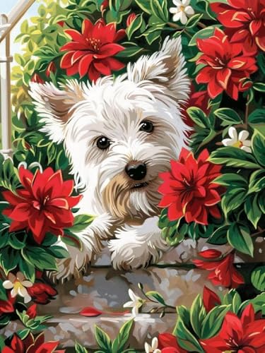 Hund Diamond Painting Erwachsene, 5D DIY Blume Diamant Painting Bilder für Kinder ab 8 Jahre, Malen nach Zahlen Diamant Anfänger, Daiments Bastelset Set Malerei Stickerei Geschenke 20x30cm Y2-115 von Kazhxnng