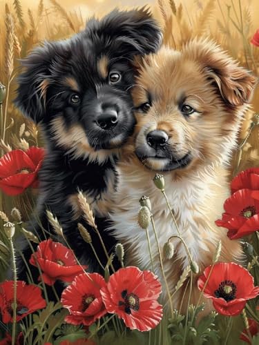 Hund Diamond Painting Erwachsene, 5D DIY Blume Diamant Painting Bilder für Kinder ab 8 Jahre, Malen nach Zahlen Diamant Anfänger, Daiments Bastelset Set Malerei Stickerei Geschenke 30x40cm Y2-110 von Kazhxnng