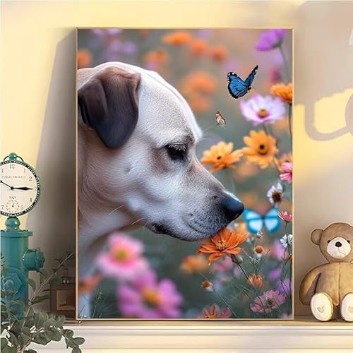 Malen Nach Zahlen Erwachsene Blume, Malen Nach Zahlen ab 9 Jahre Mädchen Hund, Paint by Numbers Adults Hobby Leinwand 40x50cm, DIY Bastelset Erwachsene Kinder Set, Mit 3 Pinseln, Acrylfarbe YH1-132 von Kazhxnng