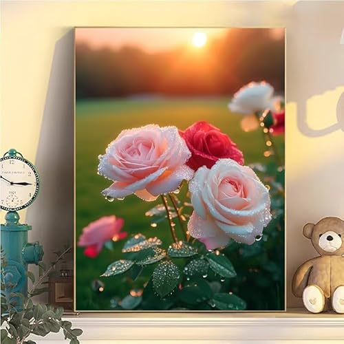 Malen Nach Zahlen Erwachsene Blume, Malen Nach Zahlen ab 9 Jahre Mädchen Rose, Paint by Numbers Adults Hobby Leinwand 30x40cm, DIY Bastelset Erwachsene Kinder Set, Mit 3 Pinseln, Acrylfarbe YH1-127 von Kazhxnng