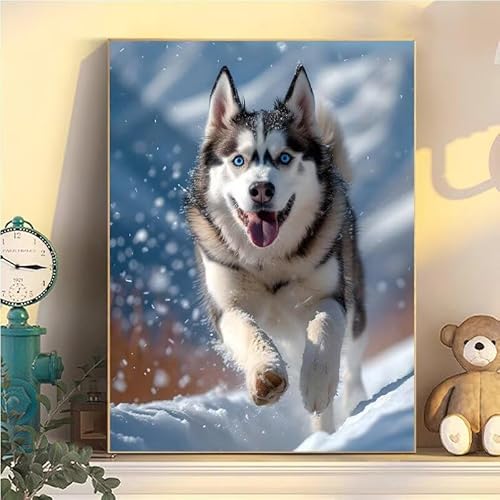 Malen Nach Zahlen Erwachsene Hund, Malen Nach Zahlen ab 9 Jahre Mädchen Tier, Paint by Numbers Adults Hobby Leinwand 45x60cm, DIY Bastelset Erwachsene Kinder Set, Mit 3 Pinseln, Acrylfarbe YH1-62 von Kazhxnng