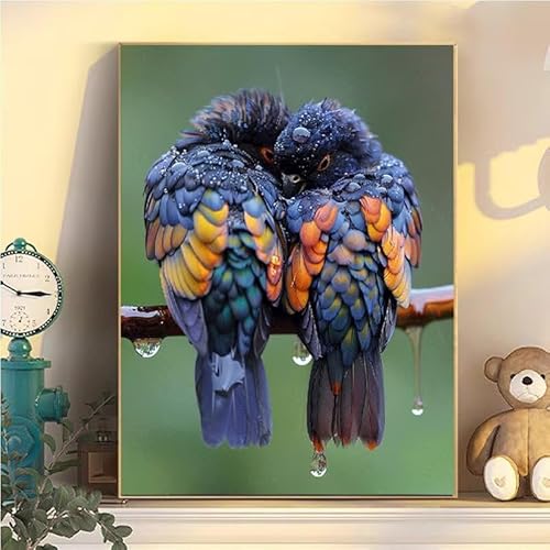 Malen Nach Zahlen Erwachsene Tier, Malen Nach Zahlen ab 9 Jahre Mädchen Vögel, Paint by Numbers Adults Hobby Leinwand 45x60cm, DIY Bastelset Erwachsene Kinder, Mit 3 Pinseln und Acrylfarbe YH2-67 Malen Nach Zahlen Erwachsene Tier, Malen Nach Zahlen ab 9 Jahre Mädchen Vögel, Paint by Numbers Adults Hobby Leinwand 45x60cm, DIY Bastelset Erwachsene Kinder, Mit 3 Pinseln und Acrylfarbe YH2-67 von Kazhxnng