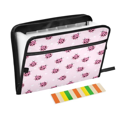 Kcldeci Fächermappe mit niedlichem Marienkäfer-Design, 13 Fächer, Akkordeon-Ordner, A4, Briefgröße, Papier, Dokumente, Quittungen, Organizer, Akkordean-Aktenordner für Klassenzimmer, Zuhause, Büro und Kcldeci Fächermappe mit niedlichem Marienkäfer-Design, 13 Fächer, Akkordeon-Ordner, A4, Briefgröße, Papier, Dokumente, Quittungen, Organizer, Akkordean-Aktenordner für Klassenzimmer, Zuhause, Büro und von Kcldeci