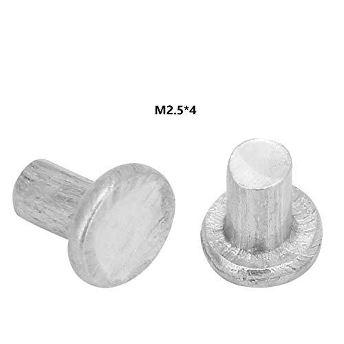 1 Satz M2,5 * 3/4/5 mm Nieten Flachkopf-Aluminiumnieten Senkkopf-Vollnieten Befestigungsnieten für die Industrie (M2.5 * 3) von Kelepu