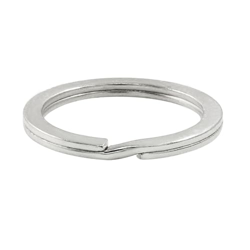 Kemcatui 200 Stück geteilte Schlüsselringe, 2,5 cm, flacher Schlüsselanhänger, rund, Metall, geteilt, Schlüsselanhänger für Zuhause, Auto, Büro (Silber, 25 mm) von Kemcatui